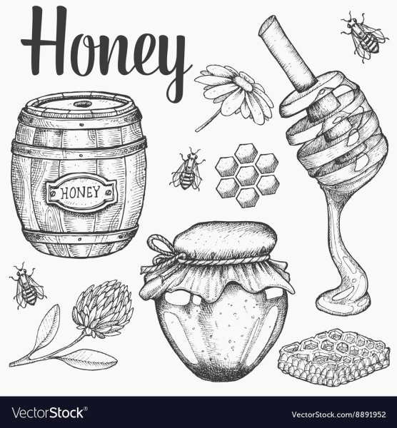 Мед раскраска для детей