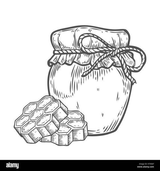 Эскиз банки мёда