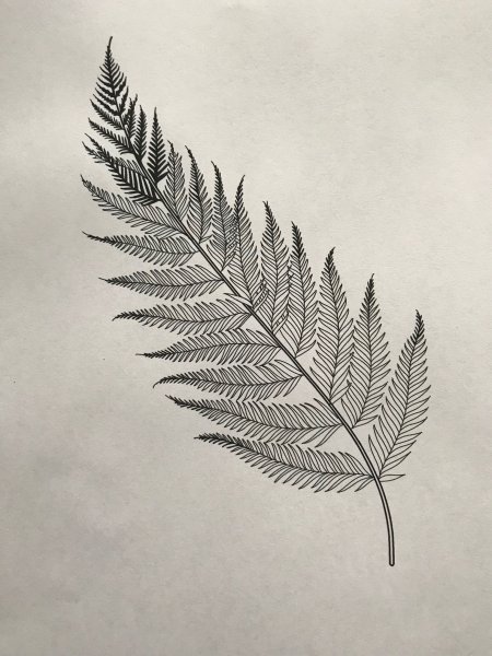 Лист папоротника тату