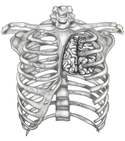 Эскиз на ребра