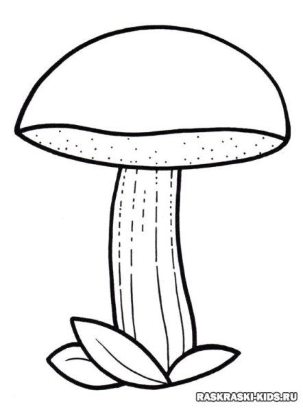 Гриб подберезовик раскраска