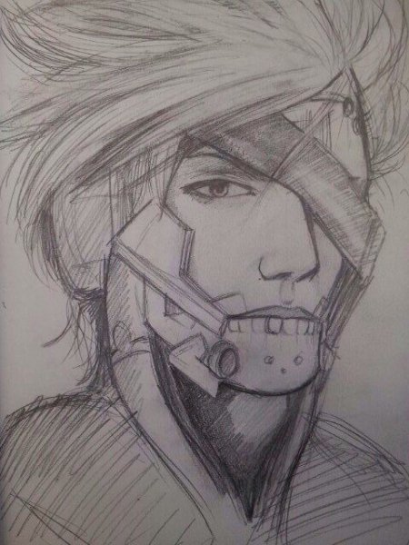 Raiden Metal Gear