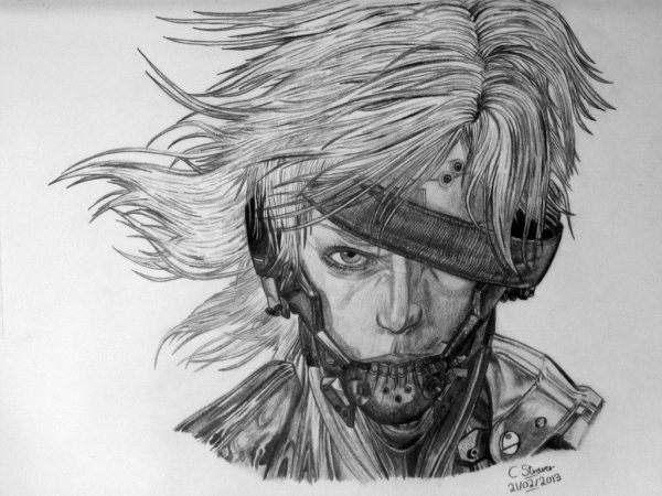 Raiden Metal Gear
