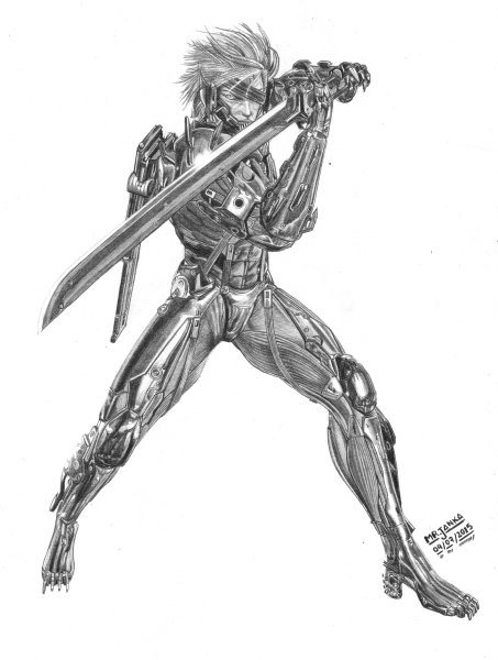 Raiden Metal Gear