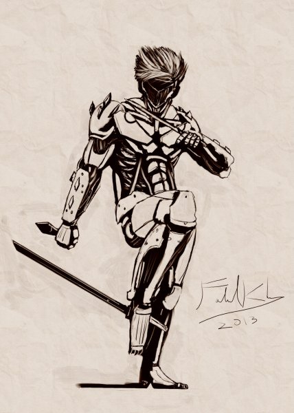 Райден рисунок мгр