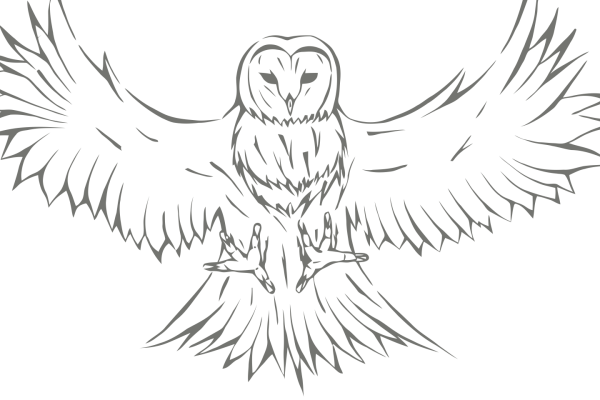 Раскраска Гарри Поттер Сова Букля