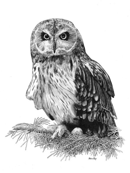 Букля эскиз