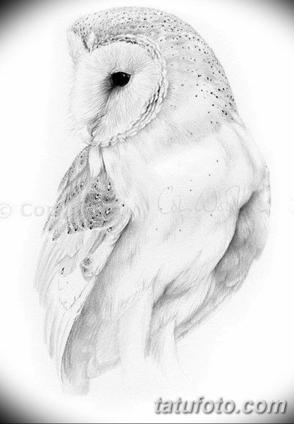 Рисование Совы карандашом