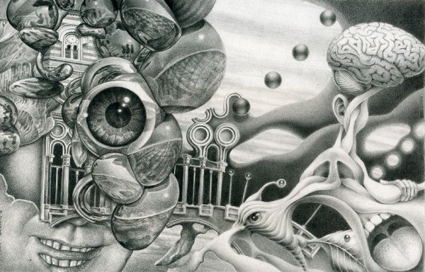 Redmer Hoekstra иллюстрации