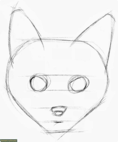 Мордочка кошки раскраска