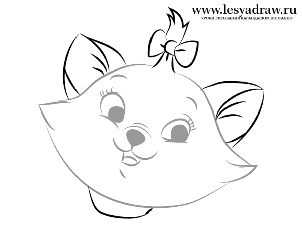 Мордочка кошки