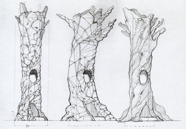 Зарисовка ствола дерева