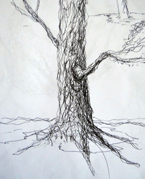 Кора дерева карандашом