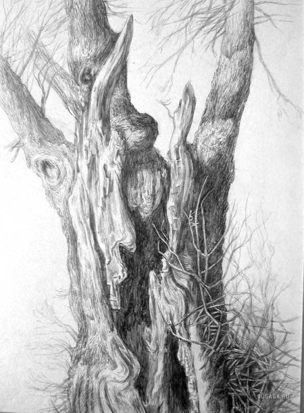 Рисование коры дерева