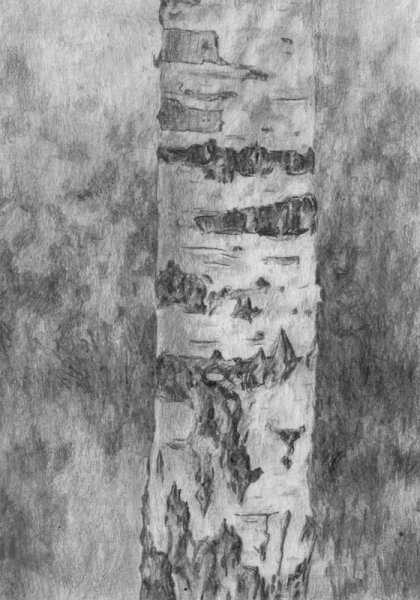 Рисование коры дерева