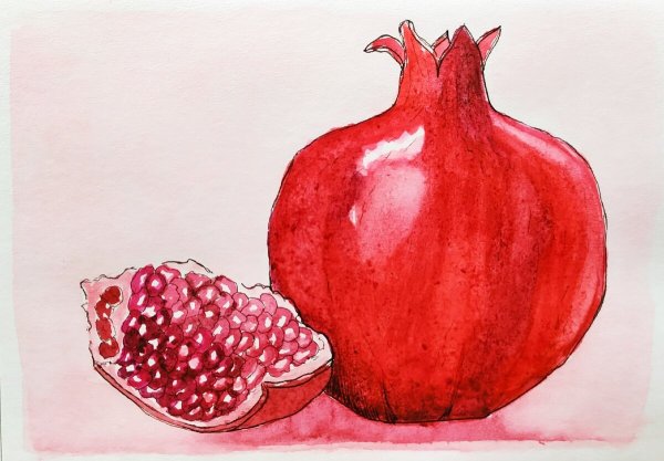 Натюрморт с гранатом карандашом