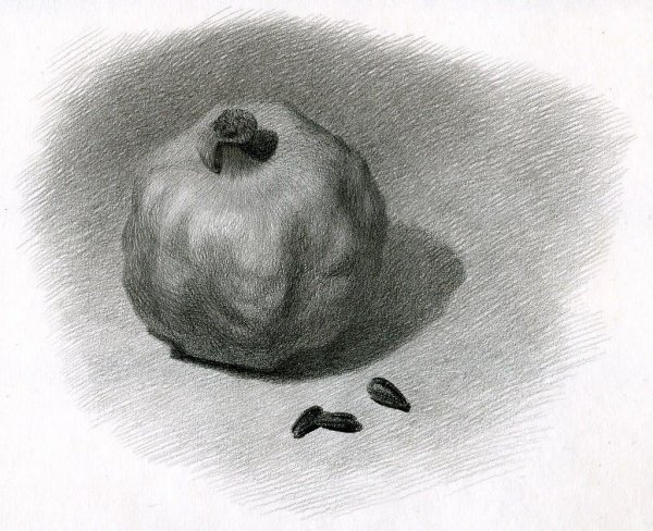 Гранат акварелью