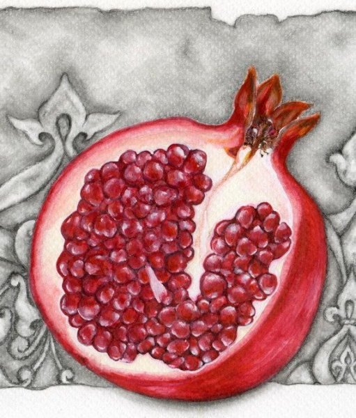 Фрукты рисунок карандашом