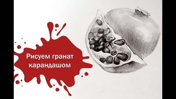 Гранат рисунок карандашом
