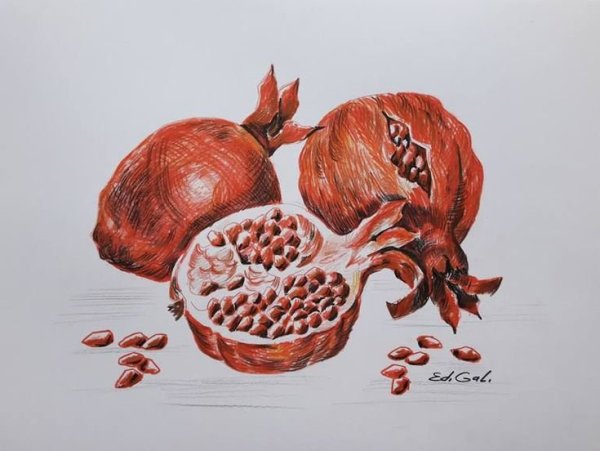 Гранат рисунок карандашом
