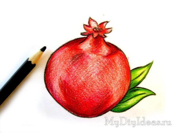 Гранат карандашом