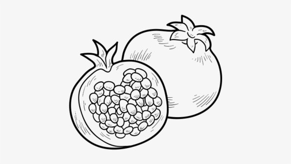 Гранат срисовать