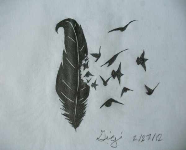Зарисовать перо вороны