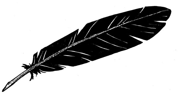 Перо вороны