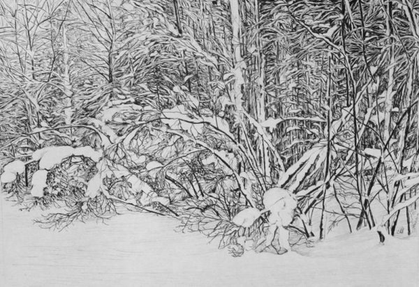 Зимний пейзаж раскраска