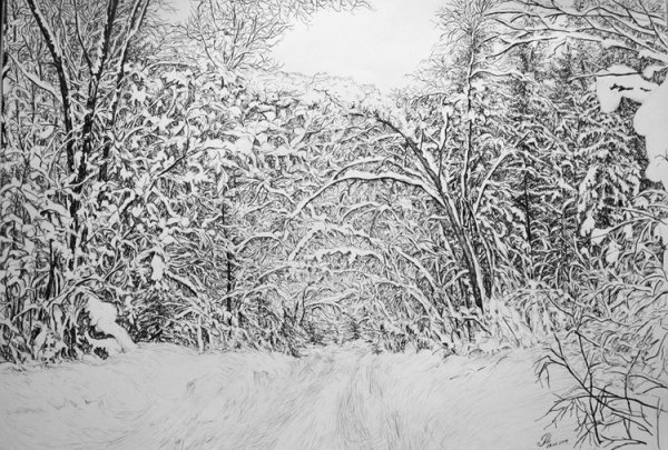 Зимний лес карандашом