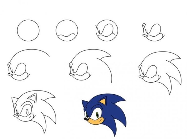 Раскраска Соник Шедоу Тейлз