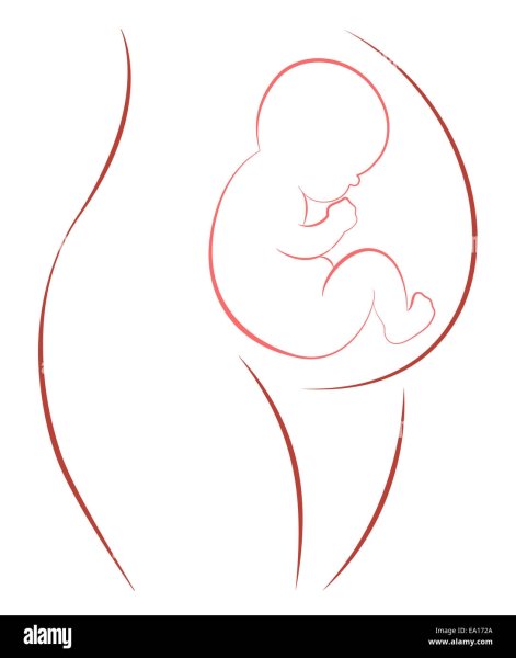 Беременная женщина