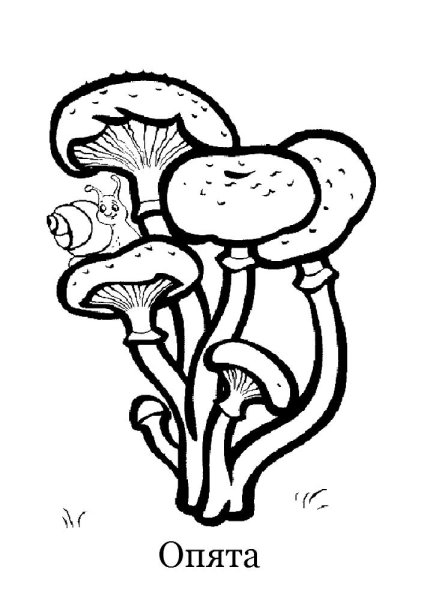 Раскраска гриб ложные опята