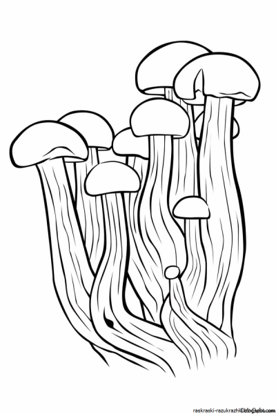 Раскраска гриб ложные опята