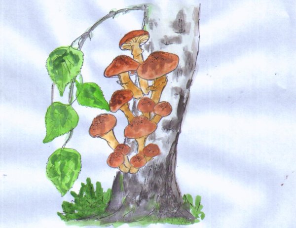 Скетчи опята