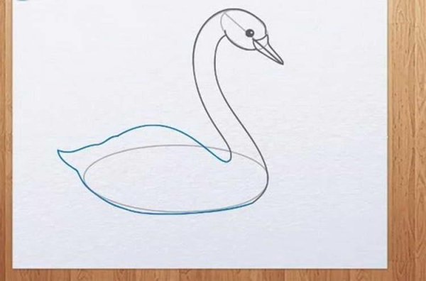 Рисунок лебедя для срисовки