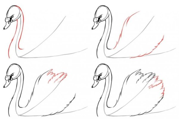 Поэтапное рисование лебедя