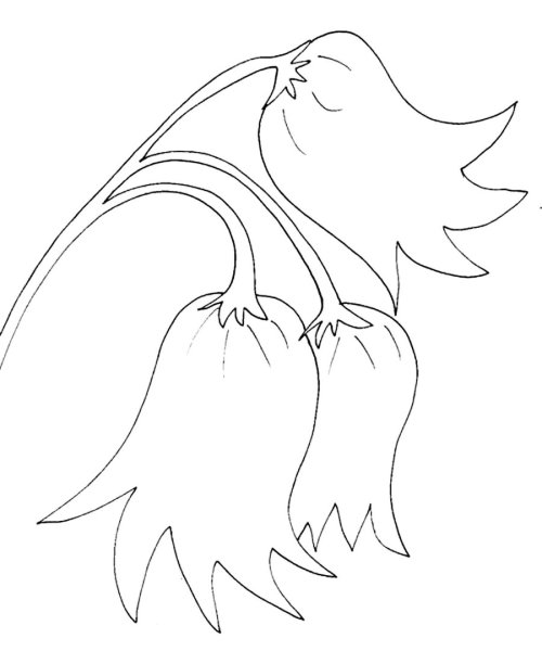 Колокольчик рисунок карандашом