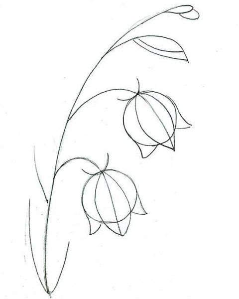 Раскраска 1 сентября день знаний