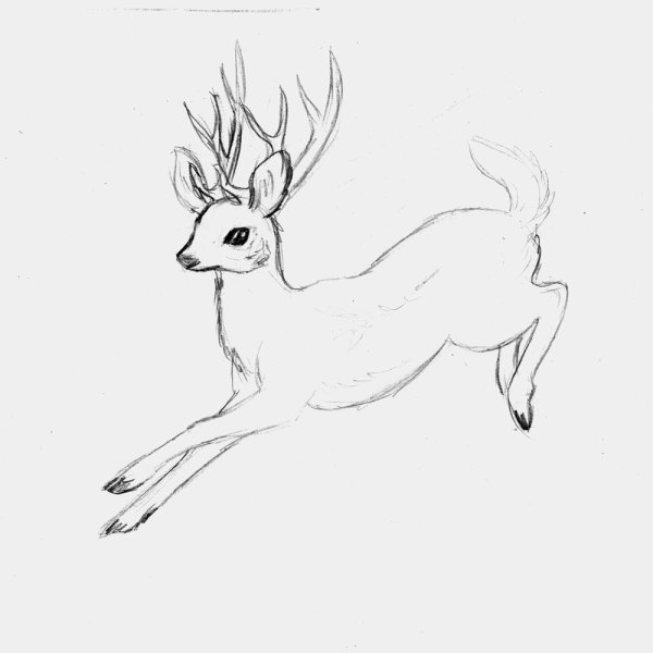 Олененок набросок