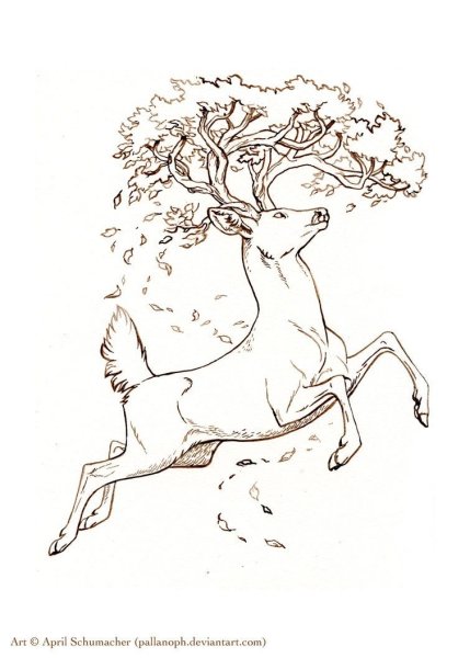 Набросок Олененок карандашом