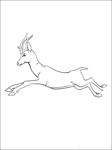 Лань для срисовки