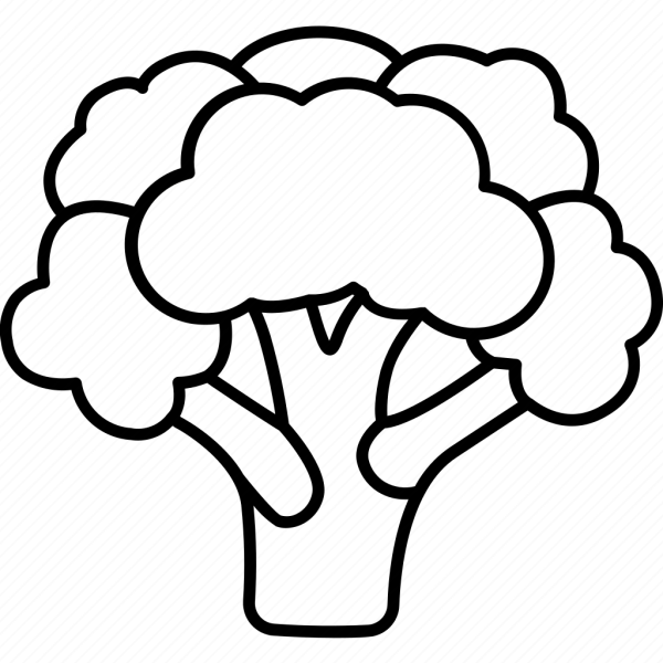 Корень брокколи