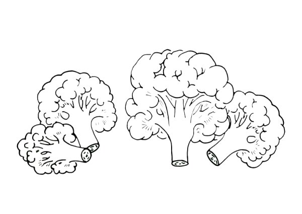 Брокколи трафарет