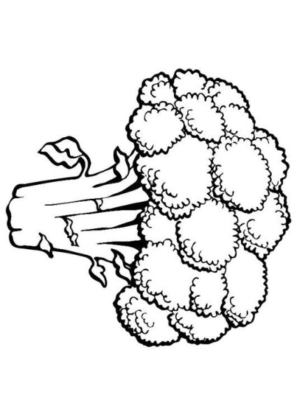 Цветная капуста чб