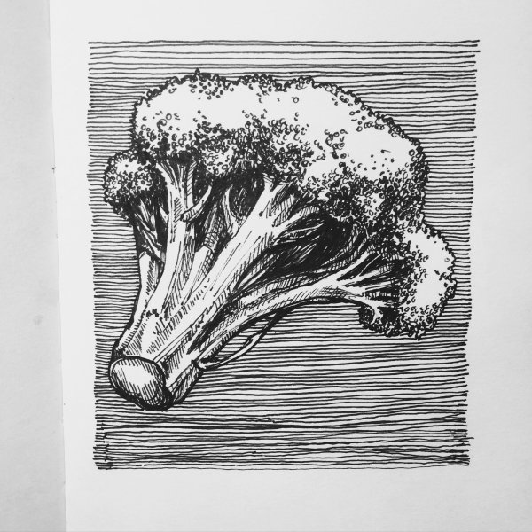 Брокколи раскраска для детей