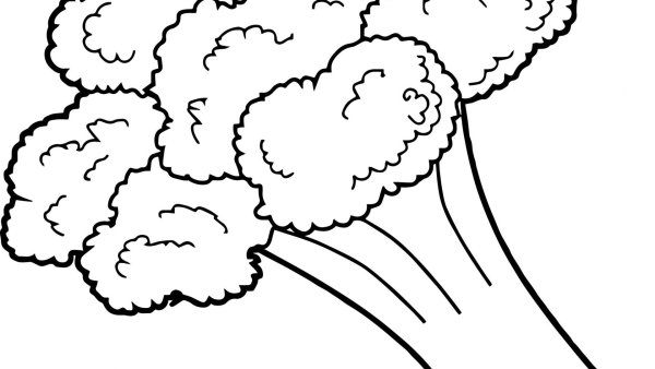 Цветная капуста раскраска