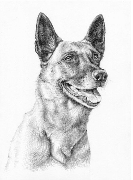 Малинуа портрет