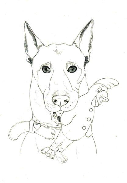 Раскраска малинуа