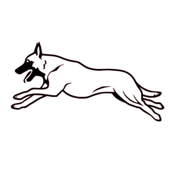 Раскраски Бельгийская овчарка малинуа